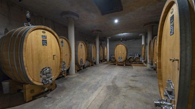 Viñedos de Alcohuaz - Image 3